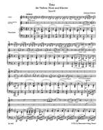 Brahms, J: Trio for Violin, Horn (Viola or Violoncello) and Piano op. 40 (Urtext) Product Image