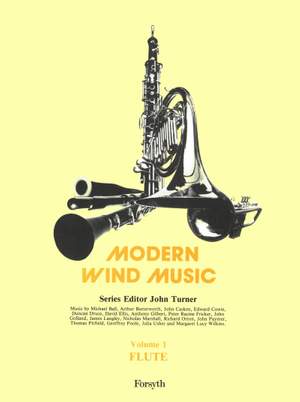 Various: Modern Wind Series - Flute