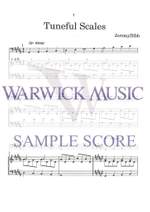 Dibb: Tuneful Scales Product Image