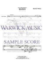 Williams: Elegy Product Image
