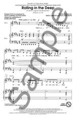 Adele Adkins: Rolling in the Deep Product Image
