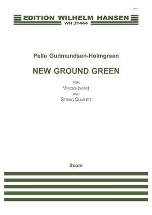 Pelle Gudmundsen-Holmgreen: New Ground Green
