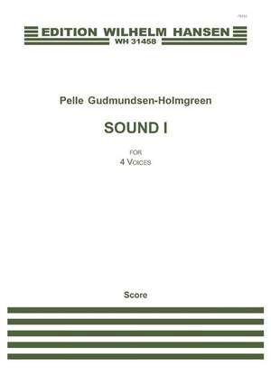 Pelle Gudmundsen-Holmgreen: Sound I