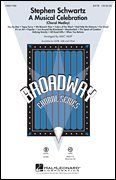 Stephen Schwartz: Stephen Schwartz - A Musical Celebration