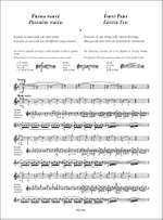 Lipizer: Advanced Violin Technique Product Image