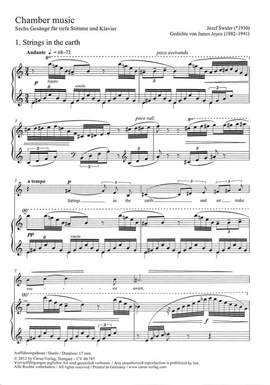 Józef Swider: Chamber Music