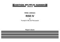 Erkki Jokinen: Rise IV
