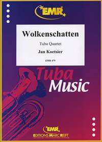 Koetsier, Jan: Wolkenschatten op 136 (1993)