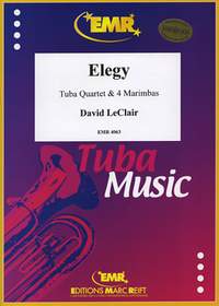 LeClair, David: Elegy