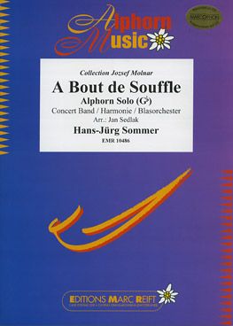 Sommer, Hans-Jürg: Out of Breath