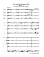 Bach, JS: Lobe den Herrn, meine Seele BWV143 Product Image