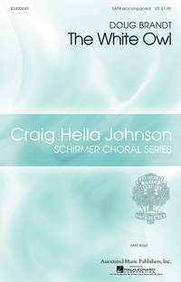 Doug Brandt: The White Owl