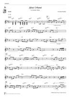 Brandao, F: Brazilian and Afro-Cuban Jazz Conception Product Image