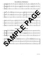 Do You Hear The Trombones Play? Product Image