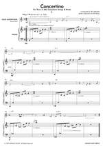 Mintzer, B: Concertino for Tenor Saxophone, Strings & Winds Product Image