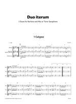 Viera, J: Duo Iterum Product Image