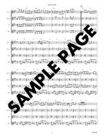 Lehel, P: Shuffle, Shuffle Product Image