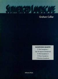 Collier, G: Submerged Landscape