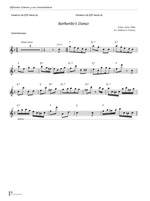 Zalba, J: Flute Soneando Product Image