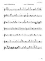 Zalba, J: Flute Soneando Product Image