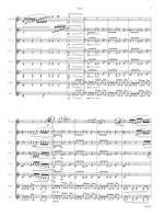 Ciesla, A: Concerto for Clarinets Product Image