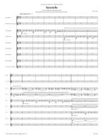 Ciesla, A: Concerto for Clarinets Product Image