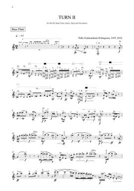 Pelle Gudmundsen-Holmgreen: Turn II