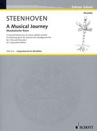 Steenhoven, K v: Musical Journey