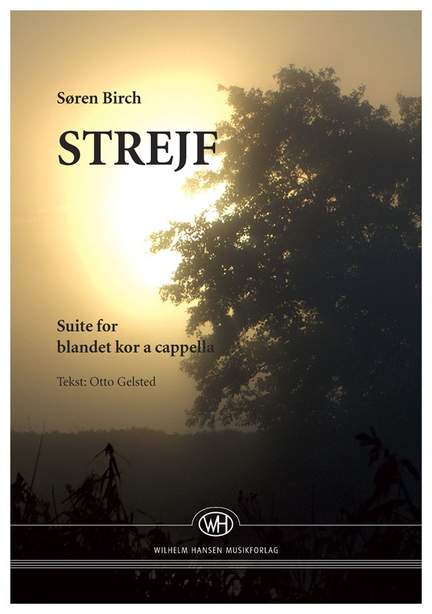 Søren Birch: Strejf