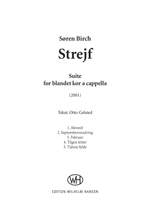 Søren Birch: Strejf Product Image