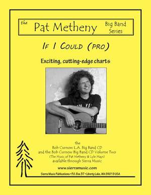 Metheny, P: If I Could (Pro)