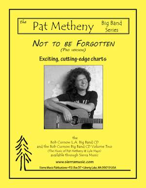 Metheny, P: Not To Be Forgotten (PRO)