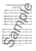 Michael Nyman: Through The Only Window Product Image