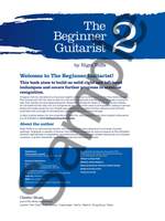 Beginner Guitarist 2 Product Image