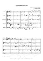 Mozart: Adagio und Allegro for Wind Quintet Product Image