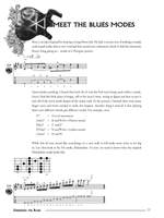 Shredding The Blues Product Image