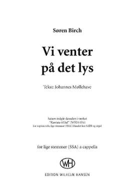 Søren Birch: Vi Venter På Det Lys