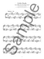 Robert Schumann: The Essential Collection Product Image
