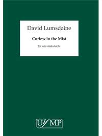David Lumsdaine: Curlew In The Mist