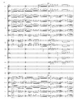 Walton, William: Violin Concerto Product Image