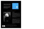 Gjeilo: Stone Rose Product Image