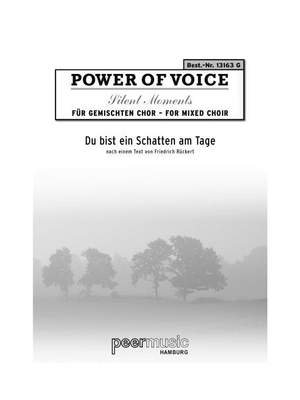 Robert Schumann: Power Of Voice Silent Moments