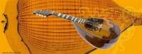 Pgay Coffee Cup Mandolin Shell