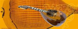 Pgay Coffee Cup Mandolin Shell