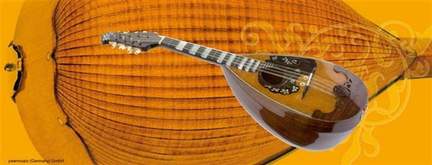 Pgay Coffee Cup Mandolin Shell