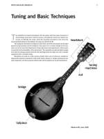 Roots and Blues Mandolin Product Image