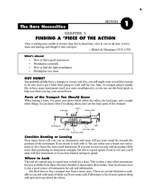 All about Trumpet Product Image