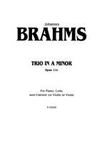 Johannes Brahms: Trio in A Minor, Op. 114 Product Image