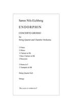 Søren Nils Eichberg: Endorphin Product Image