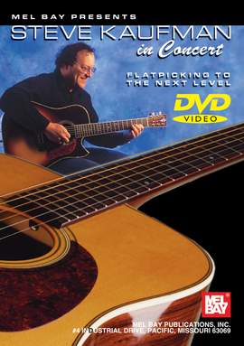 Steve Kaufman: Steve Kaufman In Concert